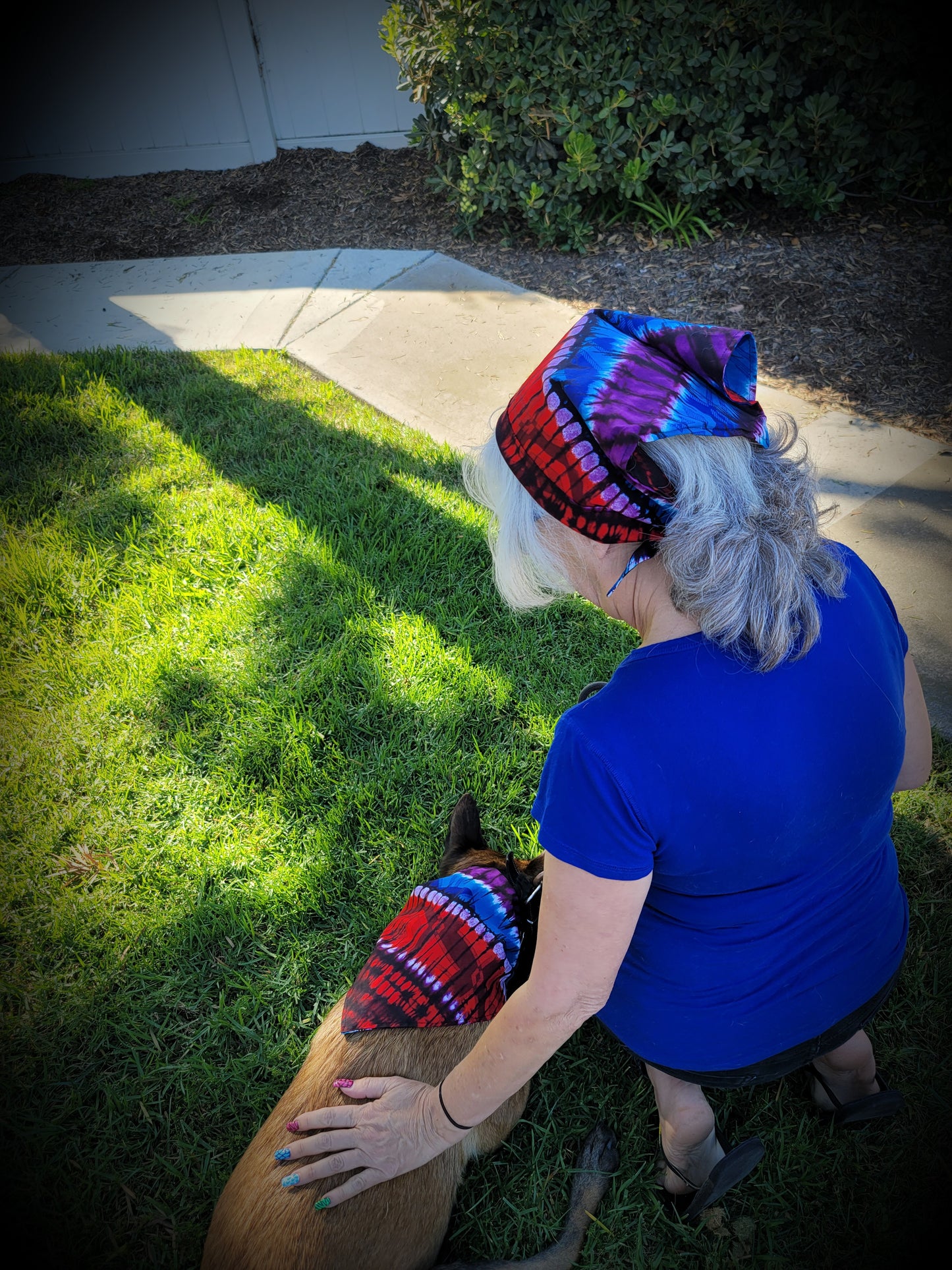 Colossal Colors Reversible Dog Bandana