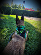 Load image into Gallery viewer, Gorgeous Green Dog Bandana