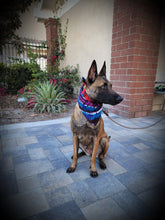 Load image into Gallery viewer, Colossal Colors Reversible Dog Bandana