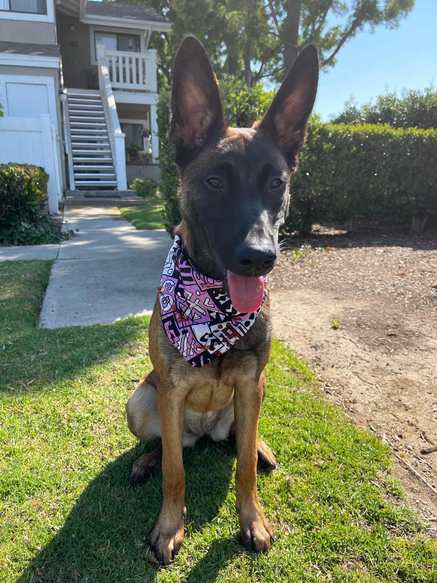 Marvelous Mauve Multi Dog Bandana