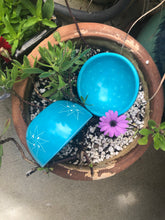 Load image into Gallery viewer, Turquoise color soap stone bowl with small stars on the inside and larger ones carved into the outside.  Smooth surface.  