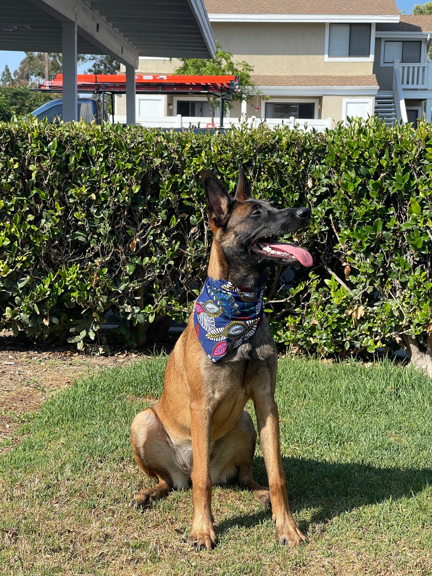 Naturally Navy Multi Dog Bandana