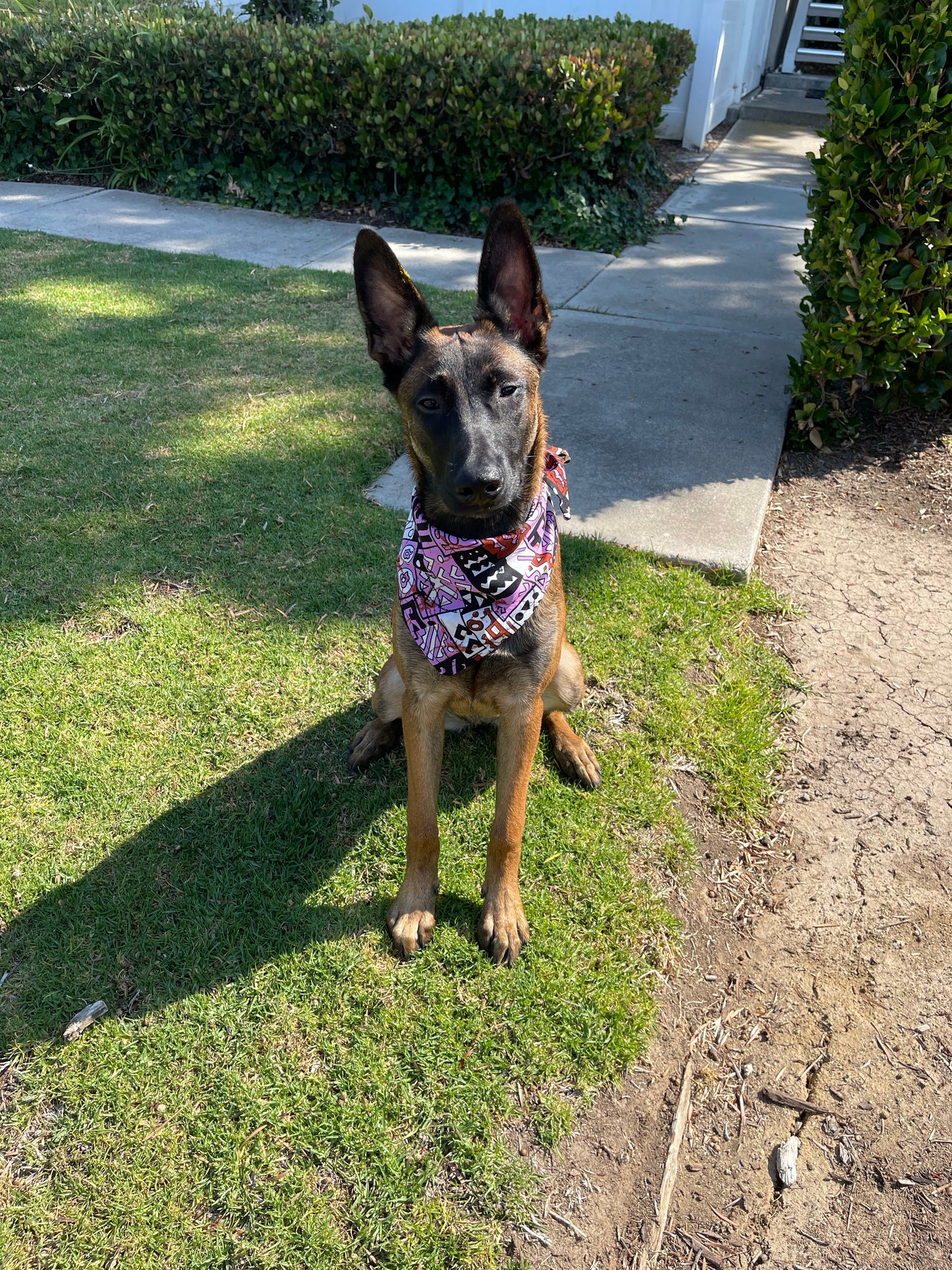 Marvelous Mauve Multi Dog Bandana