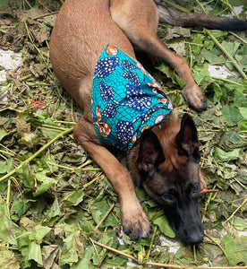 Terrific Teal Reversible Dog Bandana